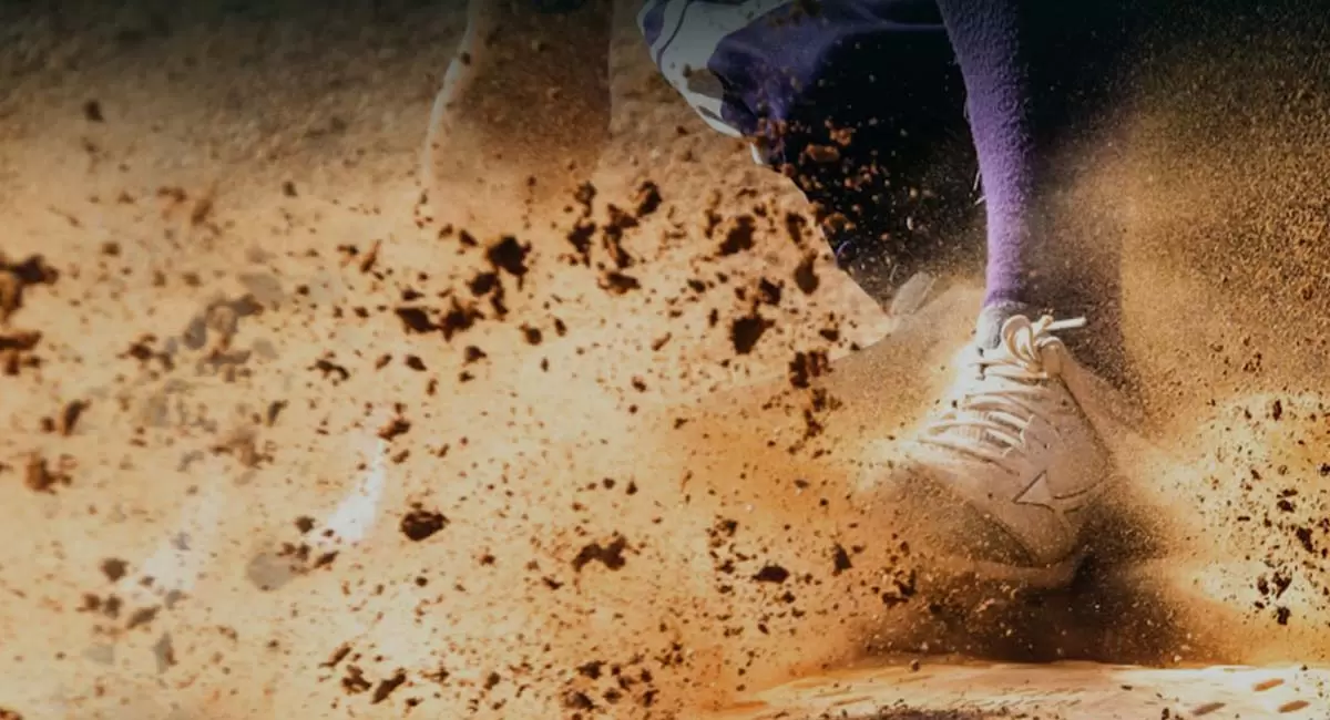 Sports Equipment Net