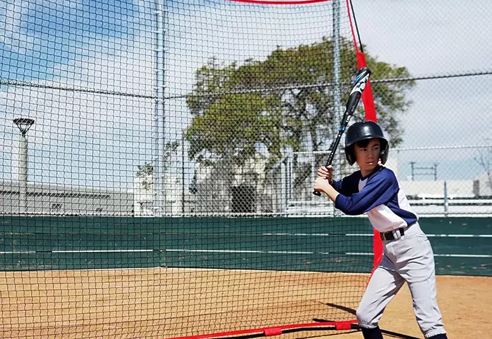 Baseball Practice Net Group III