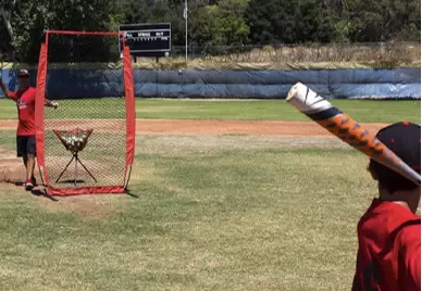 Baseball Practice Net Group V