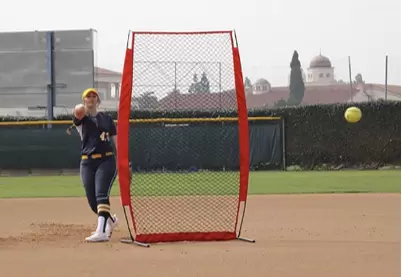Baseball Practice Net Group V