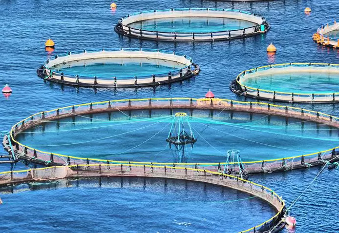 Deep-sea aquaculture nets