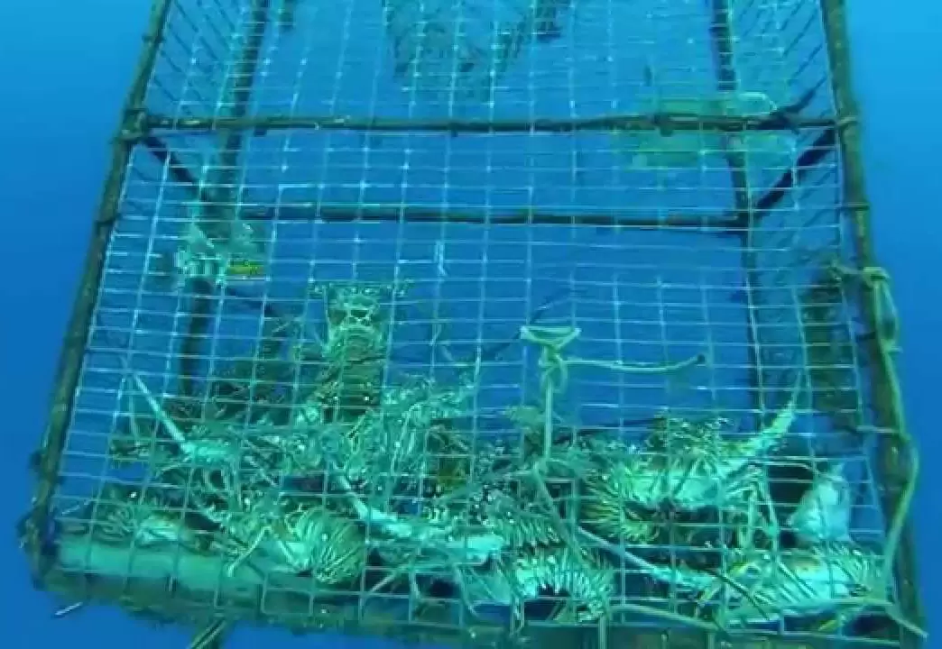 Deep-sea aquaculture nets