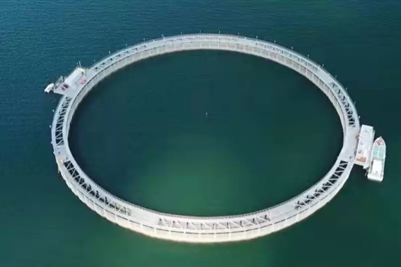 Bao NengOrange Fishing Sand Hotel shark net project