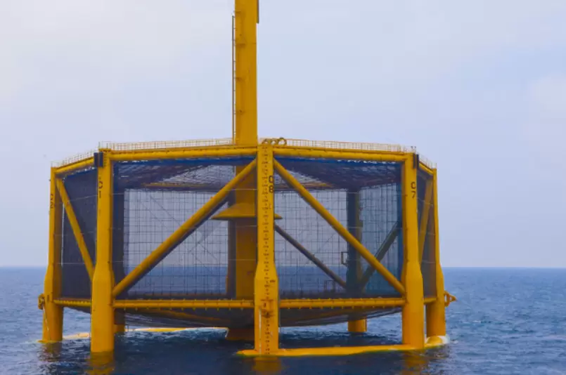 Anti-wave cages and leisure fishing cage construction project