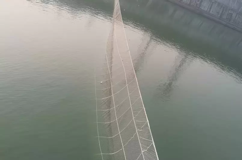 Yangtze Three Gorges aquaculture Chinese sturgeon 255 meters barrage net