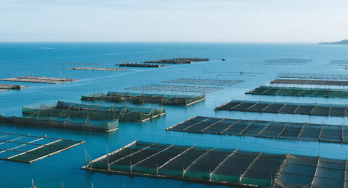 Aquaculture Net