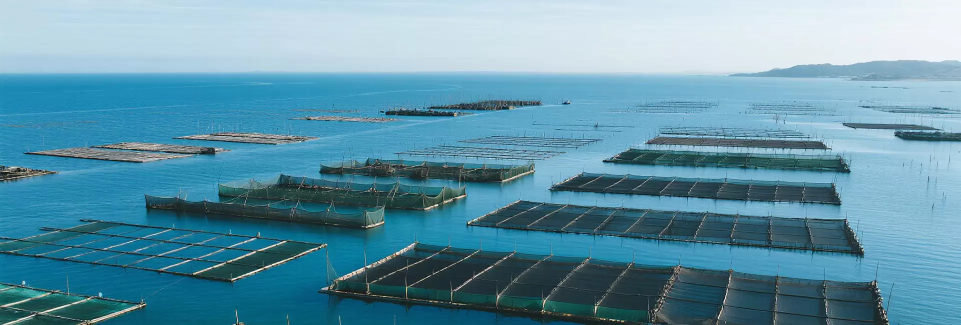 Aquaculture Net